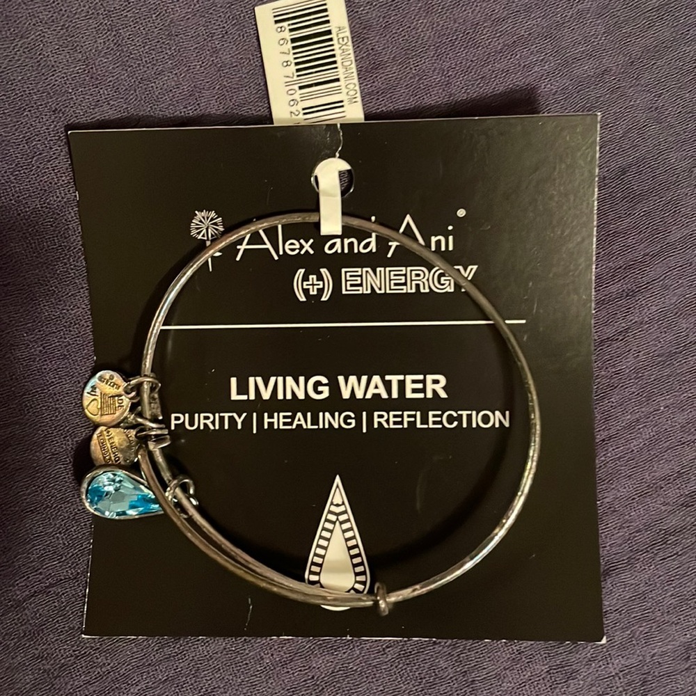 NWT Alex and Ani Bracelet